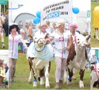 2018 Great Yorkshire Show branded 'one of the best ever'
