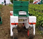 £6.4 million awarded to set up UK's first Global Centre of Excellence in Agri-robotics