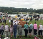 NFU Cymru to run webinar programme at virtual Royal Welsh Show