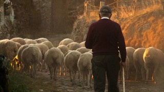 New body vies to tackle the challenges of rural health and care