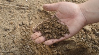 Farmers and growers urged to test soil to save on expensive inputs