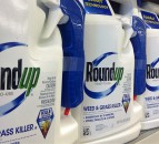 Roundup: Calls for a limit to UK glyphosate use