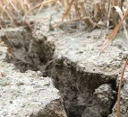 Impact of 2018 summer heatwave to be felt for ‘months to come’
