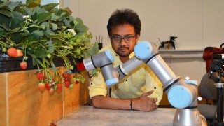 First fruit-picking robots could be ready in 5 months