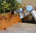 Ministers host agri-tech discussions with key global investors