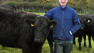 Proactive management is key focus for Downpatrick farm walk