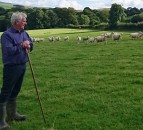 ‘No-deal’ technical notes offer little comfort for Welsh farming