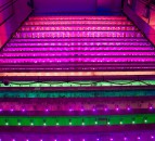 Scotland's first vertical farm 'arguably world's most advanced'