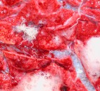 Warning as fatal cases of ‘hoose’ discovered in cattle