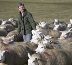 Workshop series to boost flock breeding potential