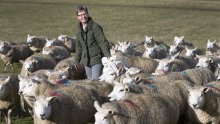 Workshop series to boost flock breeding potential