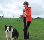 Dromore gears up for International Sheepdog Trial 2018