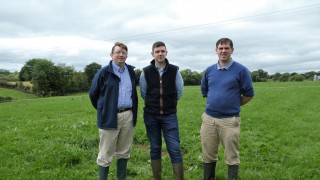 Grazed grass is key to success on Tyrone beef farm