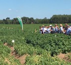 4 appointments for new AHDB Arable team