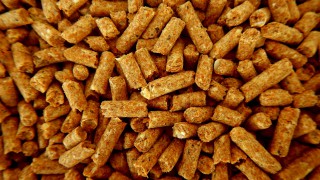 Northern Ireland’s compound animal feed sector continues to grow
