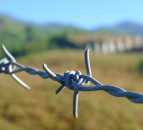 Call for action as rural crime costs reach £44.5 million