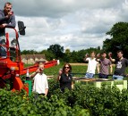 British Blackcurrant growers finish harvest at 12,000t