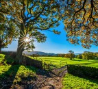Public rural property access can provide extra income for farmers