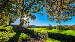 Green watchdog will support farmers to care for the environment, says CLA
