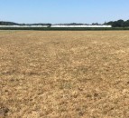 Brussels to offer 'flexibility' to farmers dealing with droughts