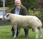 Breed record smashed at Carlisle Beltex sale