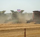 New world record set: 303 combine harvesters ‘rumble down the fields’