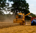 Harper Adams harvest...with no drivers?