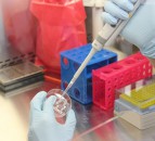 15 new positions at APHA Brexit-linked