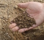 Poor soil structure could cost up to £220/ha…but can you avoid common pitfalls?