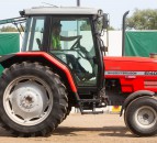 Auction report: ‘Massey’ highlights from massive monthly sale