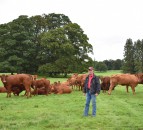 Whitfield Estate farm walk to talk through calving-ease breeding programme