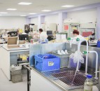 UK researchers win funding for grass pea project in Sub-Saharan Africa