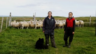Monitor farm meet to discuss maximising business and livestock efficiency