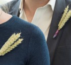 Westminster joins NFU to Back British Farming