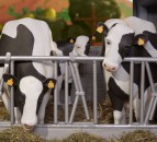 Red Tractor telly advert to go live next week