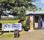 Fancy some farm-fresh milk…from a vending machine?