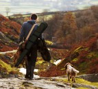 Online registration 'huge stride' to expand sale of quality-assured game