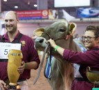 Record turnout at 5th UK Dairy Day