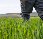Farmcare agrees new farm management partnerships