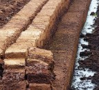 Wales to end the retail sale of peat