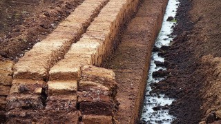 Wales to end the retail sale of peat