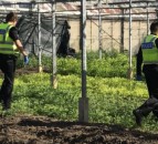 8 potential slavery victims rescued from Cambridge farm