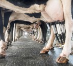 Future agricultural funding will not be Barnettised