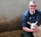 BVA appoints former farm vet as new president