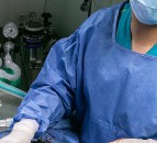 Vets raise concerns about migration recommendations