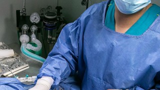 Product recall for cattle injections