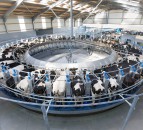 Dairy-Tech 2021 to move online due to Covid-19 concerns