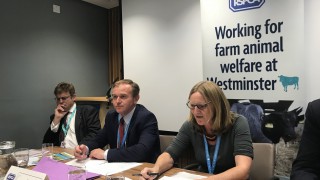 Brexit could put UK’s high animal welfare standards at risk