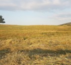 1.5° climate warming impacts ‘far greater than previously thought’
