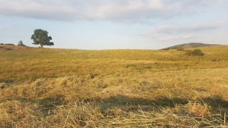 1.5° climate warming impacts ‘far greater than previously thought’